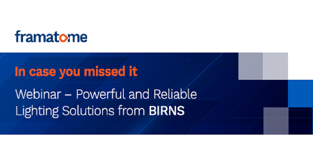 BIRNS Webinar